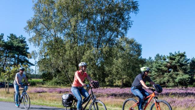 Senne-Radweg - Park Hotel & Spa Bad Lippspringe